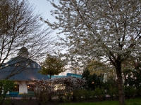 Restaurant "Zur Seebrücke" Boltenhagen, Pavillon im Frühjahr